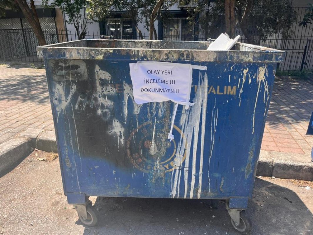 Poşetler İçinde Bulunan 33 Ölü Kedi İle İlgili Soruşturma Başlatıldı