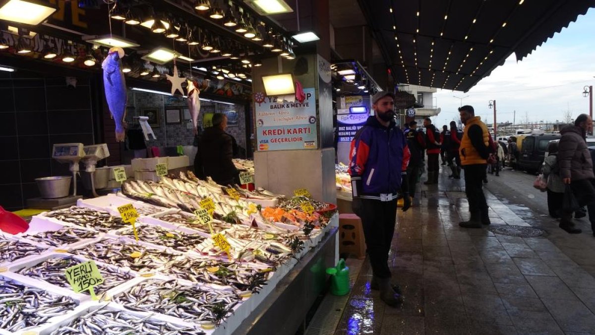 Hamsi Bu Defa Şaşırttı, Tezgahlar Yeniden Şenlendi