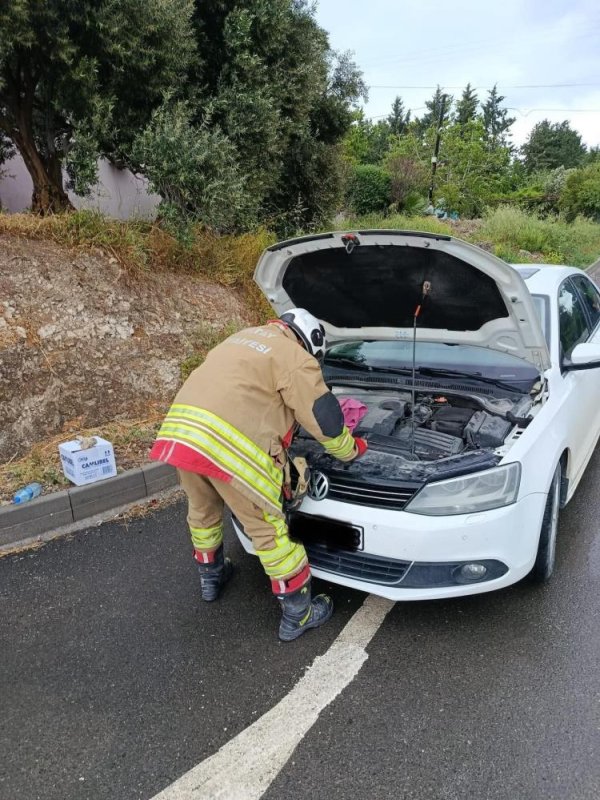 Arsuz'da Otomobilin Motoruna Giren Kediler Kurtarıldı