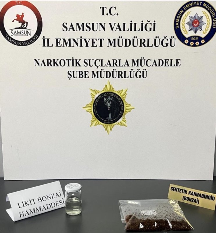 Samsun'da 4 İlçede Narkotik Operasyonu: 8 Kişi Yakalandı