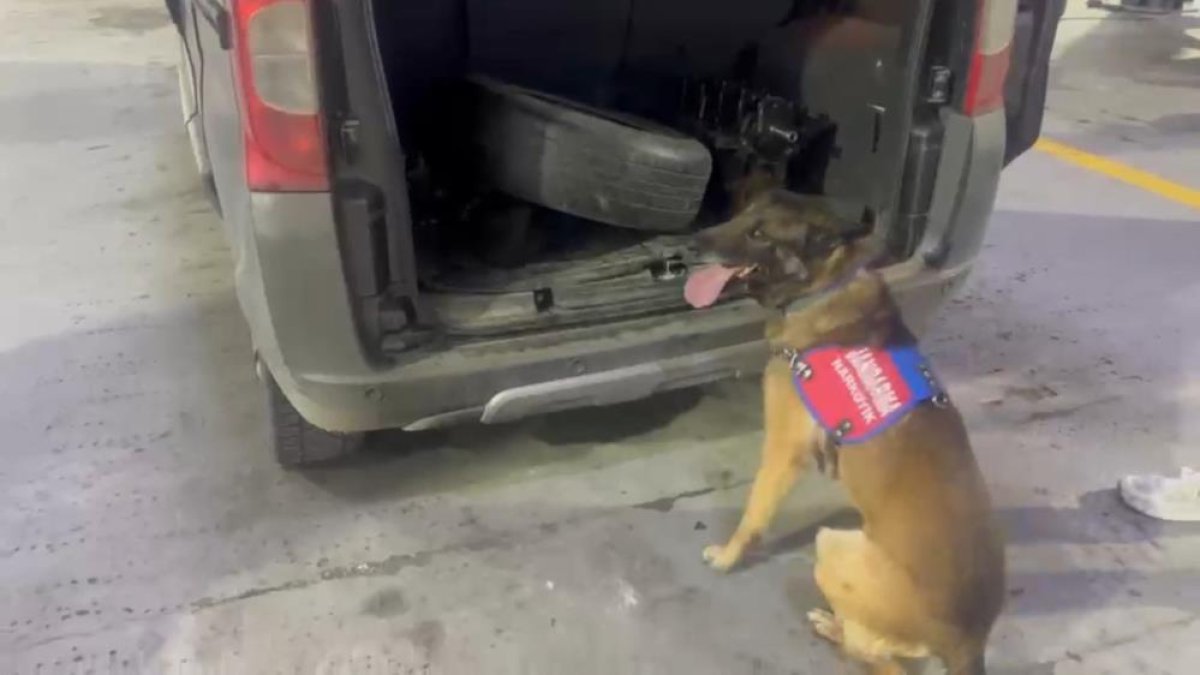 Bagaj Ve Kaputa Gizlenen Uyuşturucuyu Narkotik Köpeği ‘Ayar' Buldu