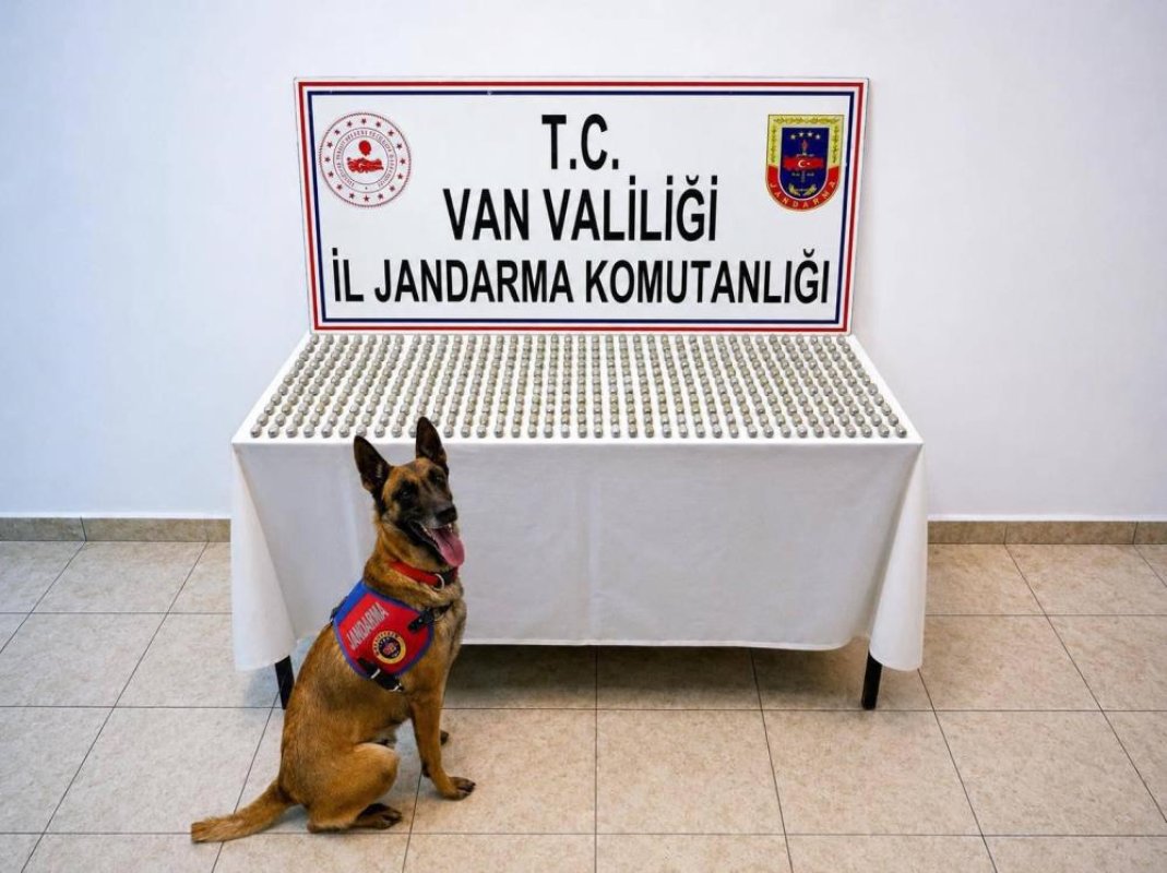 Van'da 8 İranlı'nın Midesinde 3 Kilo Esrar Ele Geçirildi