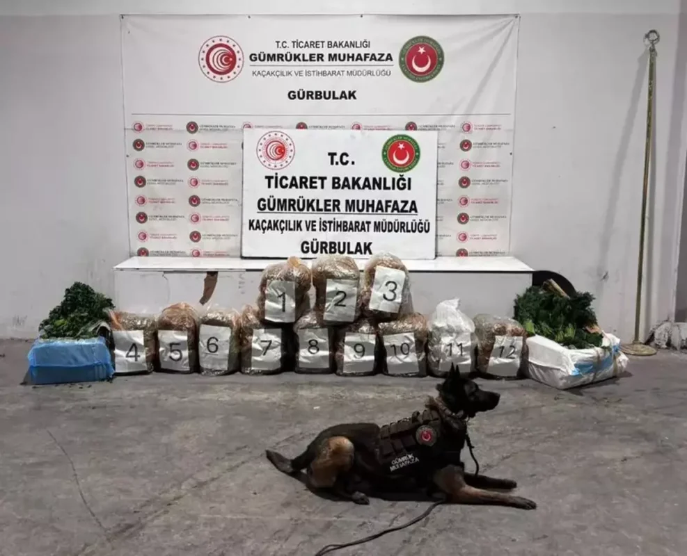 Tırdan 51 Kilo Esrar Çıktı