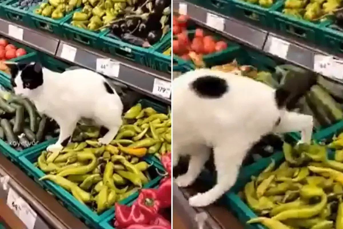 Zincir Markette Hijyen Skandalı!