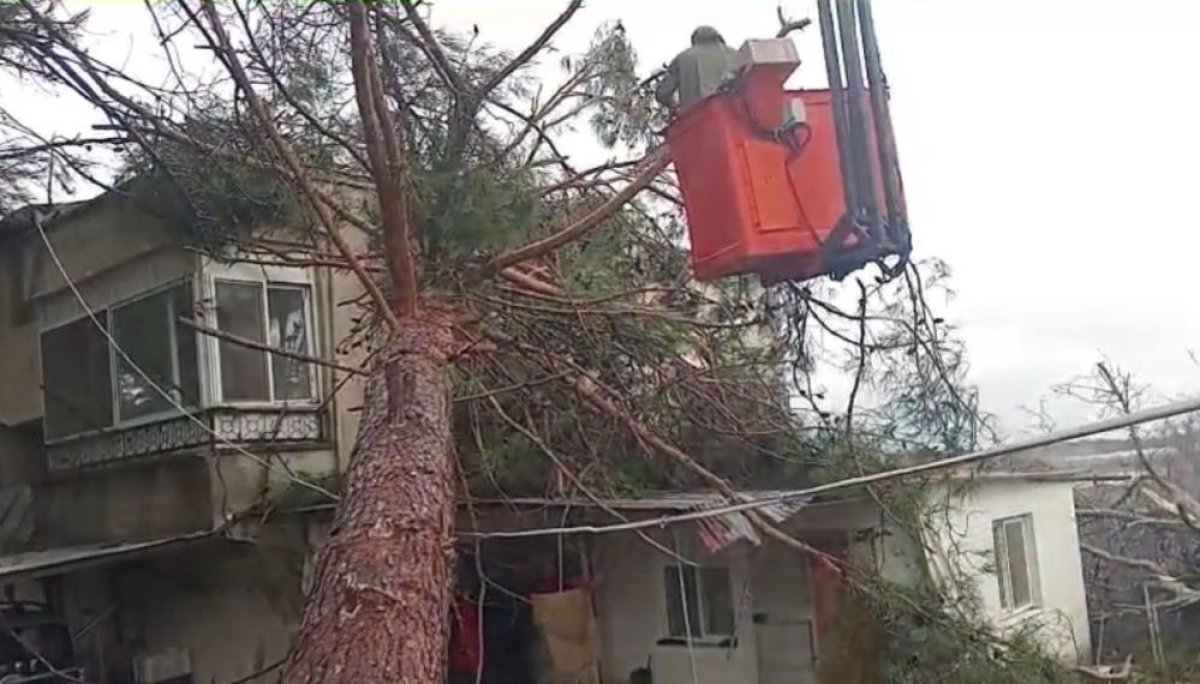 Ağaç evin üzerine devrildi