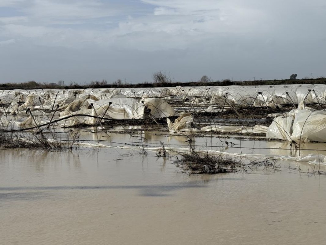 Tarsus’ta Fırtına Seraları Vurdu