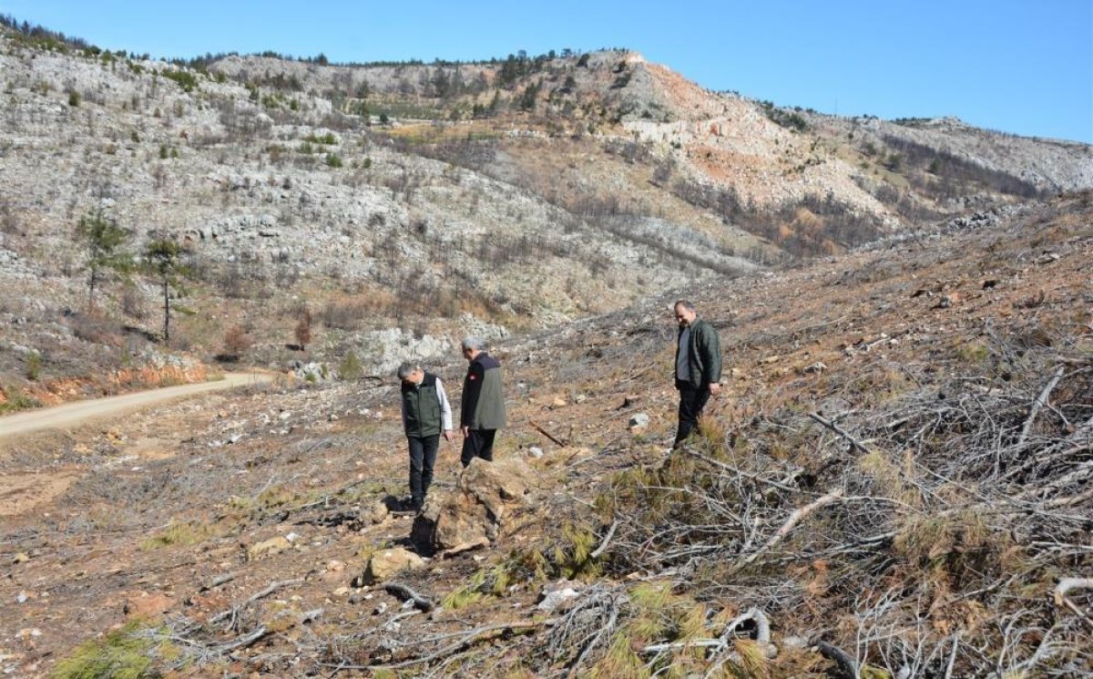 Mersin’de Yangın Sahaları Yeniden Hayat Buluyor