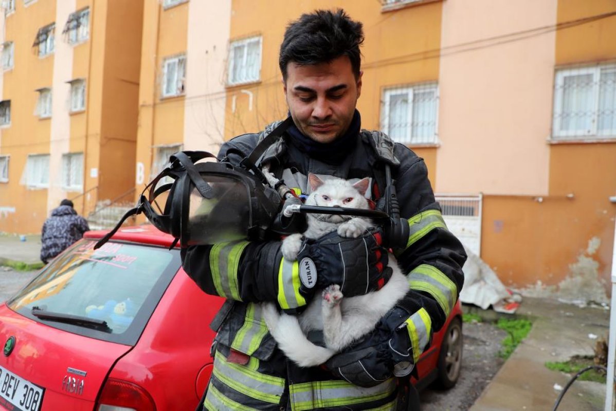 Mersin’de İtfaiye Hamile Kediyi Alevlerin Arasından Kurtardı