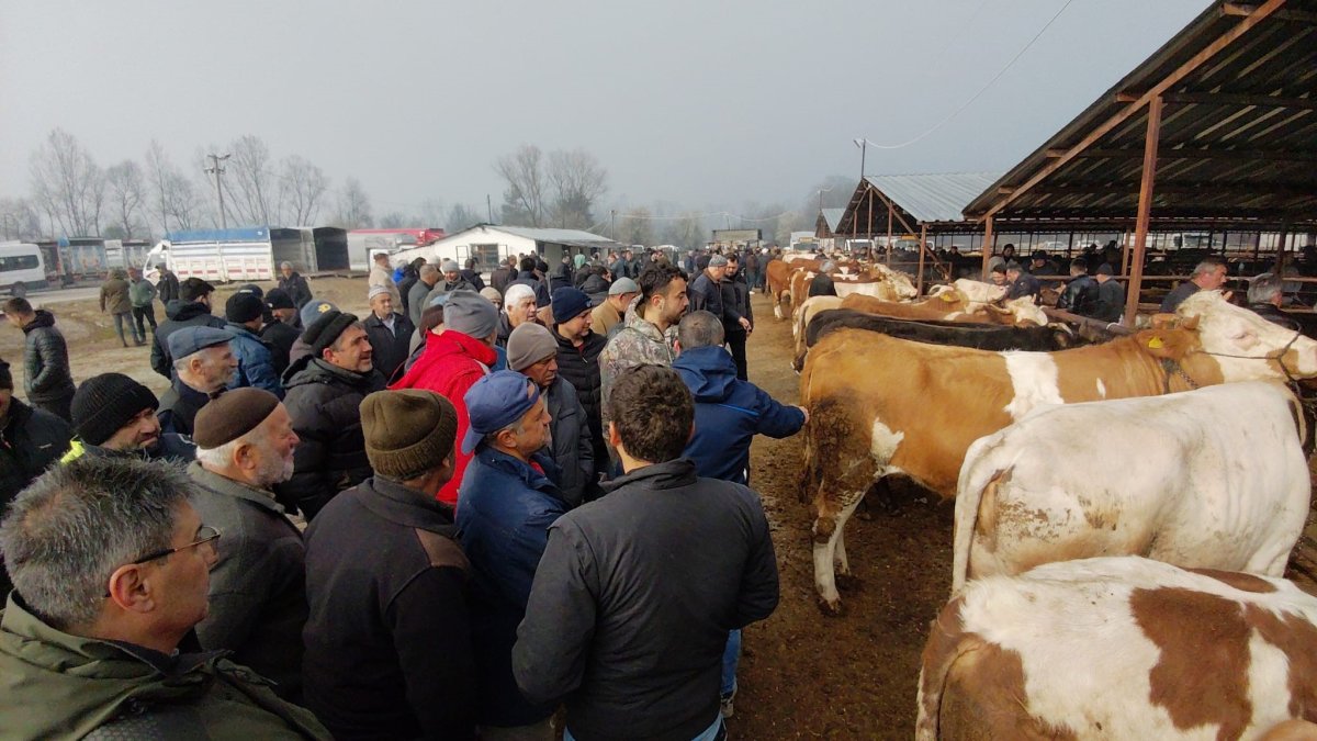 Hayvan Pazarında Hararetli Pazarlık Kamerada